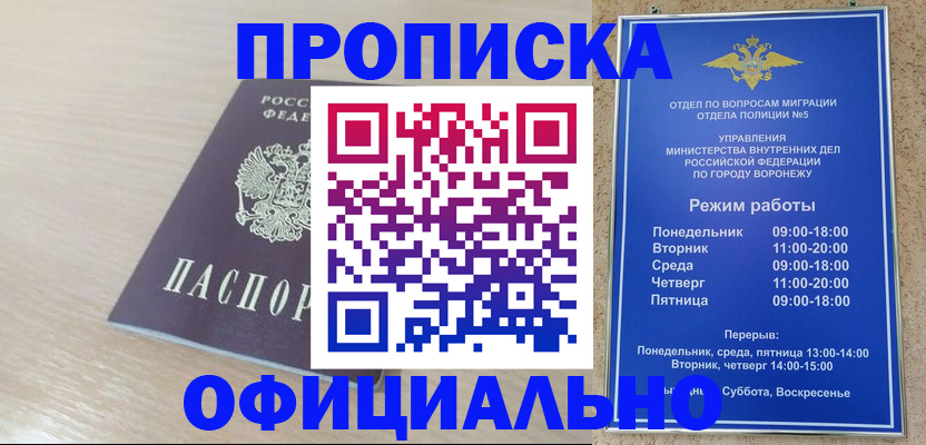 прописка в квартире в Камышлове